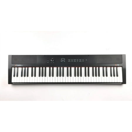 Artesia A-73 Keyboard | 73-Key Digital Piano/Keyboard w/ 12 Dynamic Voices, USB MIDI, Power Supply, Sustain Pedal & 2 Month Subscription