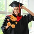 thumbnail image 5 of ​14in PhD Graduation Bear - Pink Faux Velvet Plush w/ Embroidered Regalia, Collectible Scholar Gift Set (Gown, Cap, Diploma, 6+ Safe)​​ Yellow, 5 of 8