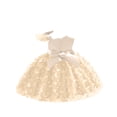 thumbnail image 5 of Girls' Princess Dress Sleeveless Tulle Dress with Bowknot and 3D Butterfly Appliques for Special Occasions and Parties, 5 of 5