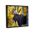 thumbnail image 3 of Stupell Industries Moose Photography Autumn Foliage Animals & Insects Photography Black Floater Framed Art Print Wall Art, 3 of 6