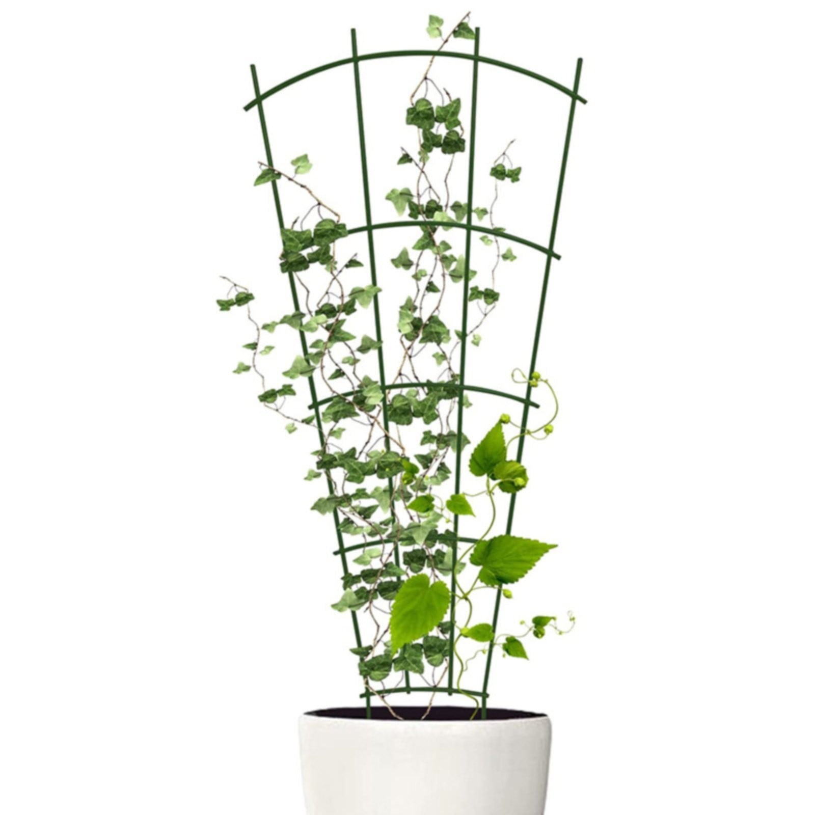 kjfeif 15.74 Inch Plant Support Stakes, 40cm Garden Trellis for Climbing Plants, Flexible Indoor and Outdoor Use for Tomatoes, Vines, and Potted Vegetables