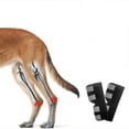 thumbnail image 2 of Dog Rear Leg Brace Long Version Canine Hock Wraps With Safety Reflective Straps For Injury And Sprain Protection, Wound Healing And Loss Of Sta, 2 of 4