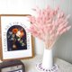 thumbnail image 3 of Pampas Grass 17 pulgadas Pampas Grass rosa Pampas Grass decoración boho boda, 3 of 7