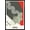 Black Framed Version, variant on The Bride of Frankenstein - Graphic Wall Poster with Push Pins, 14.725" x 22.375"