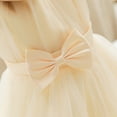 thumbnail image 3 of GYRATEDREAM 6M-6T Toddler Baby Girl Embroidered Tutu Ball Gown Lace Dresses with Headwear, 3 of 6