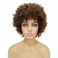 thumbnail image 3 of Short Fluffy African Wig Small Curly Hair, 3 of 4