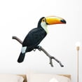 thumbnail image 1 of Toucan White Wall Decal by Wallmonkeys Peel and Stick Graphic (24 in W x 23 in H) WM39475, 1 of 4