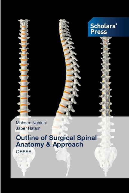 Atlas of Neurosurgical Anatomy: The Pterional Perspective