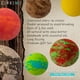 thumbnail image 4 of Set de regalo Bath Bombs ZenSeme, 8 unidades, perfumadas, orgánicas, 70 g, para hombre, 4 of 7