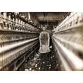 thumbnail image 2 of Child Laborer Portrayed By Lewis Hine In 1909. Little Spinner Who Regularly Worked In Cotton Mill In Augusta History (, 2 of 2