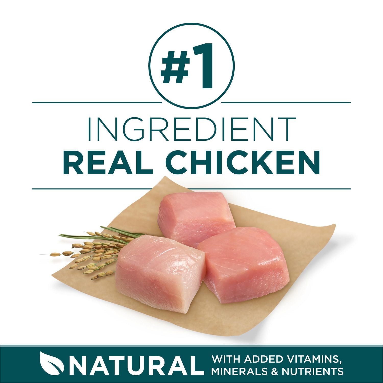 Purina ONE SmartBlend Large Breed Puppy Formula Chicken, Dry Dog Food 7 kg, 14 kg