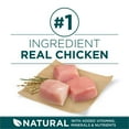 thumbnail image 4 of Purina ONE SmartBlend Large Breed Puppy Formula Chicken, Dry Dog Food 14 kg, 4 of 9