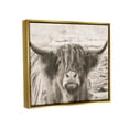 thumbnail image 3 of Stupell Industries Highland Cattle Cow Gazing Photography Photograph Metallic Gold Floating Framed Canvas Print Wall Art, Design by Nathan Larson, 3 of 8