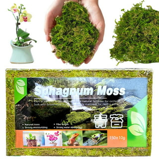Cheap 12L / 6L Sphagnum Moss for Plants, Sphagnum Moss for Orchids Dried  Orchid Moss, Orchid Soil Peat Moss Potting Mix Soil Moss for Potted Plant