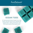 thumbnail image 4 of Blast from the Past Collection: Ocean Tides Scented Wax Melts, ScentSationals, 2.5 oz (5-Pack), 4 of 7