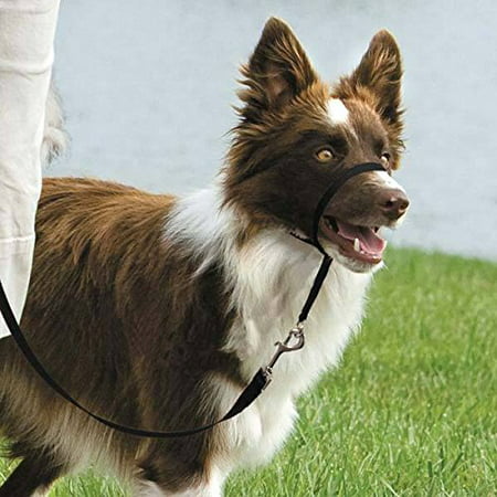 Gentle Leader Dog Head Collars - Training Stop Pulling Lunging Unwanted behavior(Small - (Best Dog Gentle Leader)