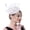 Pink, variant on Elegant Black Fascinator Hat for Women, Vintage Mesh Yarn Headpiece with Hair Clip and Headband, Classic Palace Style Evening Tea Party Hair Accessory