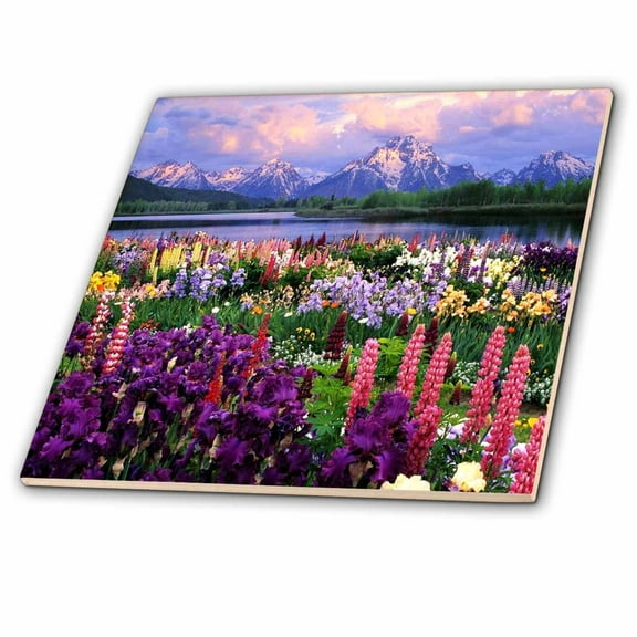 3dRose, Wyoming Wildflowers, 8 Inch Glass Tile