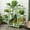 Green, variant on ColourTree Bamboo A-Frame Plant Shelf Stand 8 Tier for Indoor and Outdoor Use，Green
