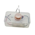 thumbnail image 4 of 2x Kits de Experimentos de Electricidad, Kits de Experimentos Eléctricos, Experimentos de Ciencias de Escuela Secundaria, Modelo de Experimento de Fís 2 piezas, 4 of 8