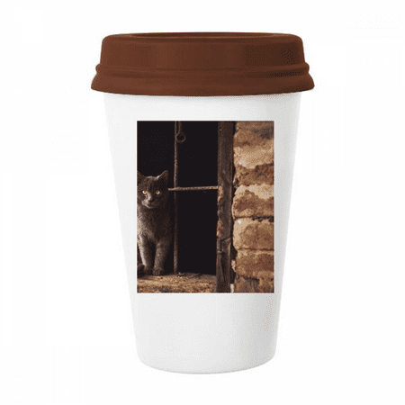 

Animal Corner Cat Photograph Picture Mug Coffee Drinking Glass Pottery Cerac Cup Lid