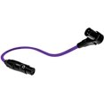 thumbnail image 2 of Balanced XLR Cable Right Angle Male to Straight Female - 6 Feet Purple - Pro 3-Pin Microphone Connector for Powered Speakers, Audio Interface or Mixer for Live Performance & Recording, 2 of 4