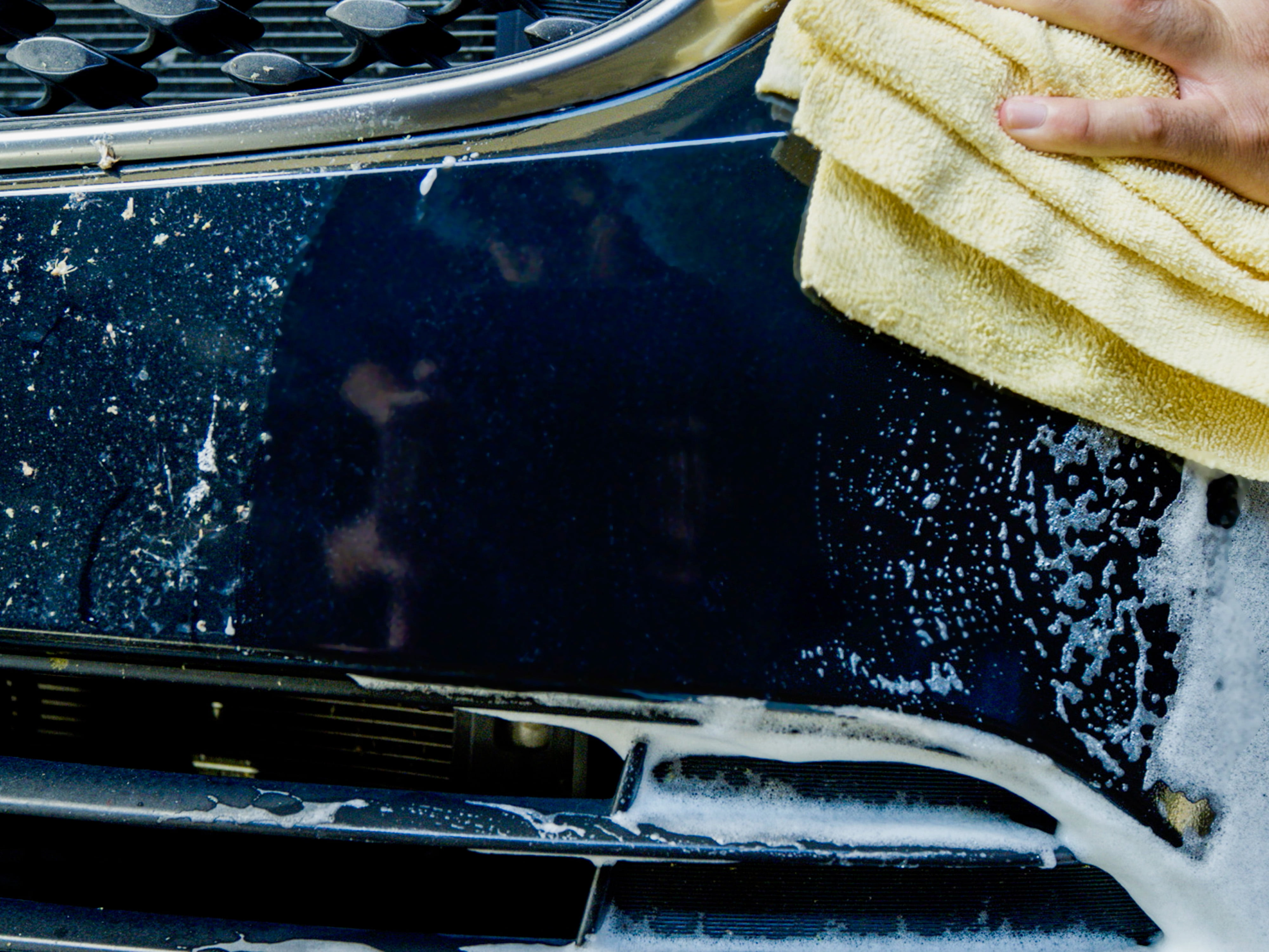 Bug & tar removers for your car ▷ at low prices