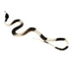 thumbnail image 5 of Juguete de Travesura de Serpiente Hugo De Goma Halloween, 5 of 7