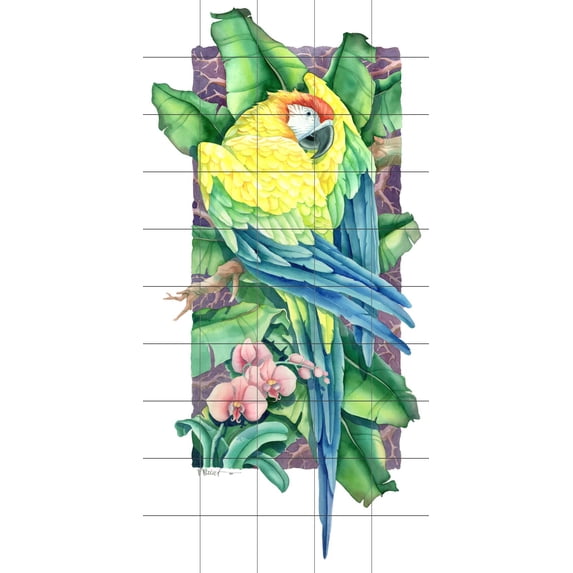 Tile Mural Kitchen Backsplash - Paradise Macaw 1 - by Paul Brent
