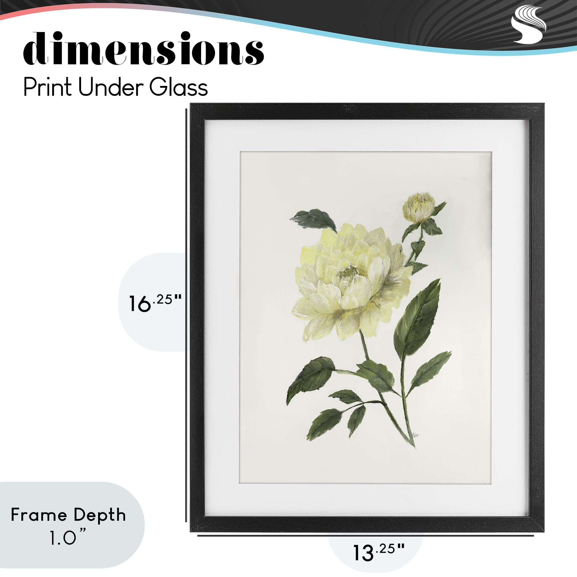 Stupell Industries Cream Garden Peony with Buds Black Framed Print Under Glass, design by Nan
