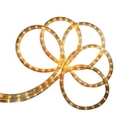 Mainstays 30 Foot Outdoor Indoor Decorative Clear Rope Light Walmart