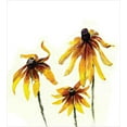 thumbnail image 3 of Watercolor Flower Duvet Cover Set, Garden with Daisy Flowers in Soft Painting Effect Dramatical Nature, Decorative 2 Piece Bedding Set with 1 Pillow Shams, Twin Size, Yellow White, by Ambesonne, 3 of 3