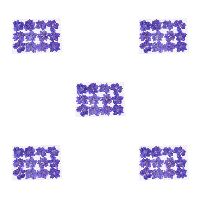 Billuyoard 12 piezas de flores secas, especímenes prensados, decoraciones para el hogar en gran comodidad, suministros para álbumes de recortes Tipo 2 5piezas