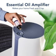 Miko Ibuki Home Air Purifier with Multiple Speeds Timer True HEPA Filter, Wildfire Smoke, Allergens, Odors 925 SQFT Coverage