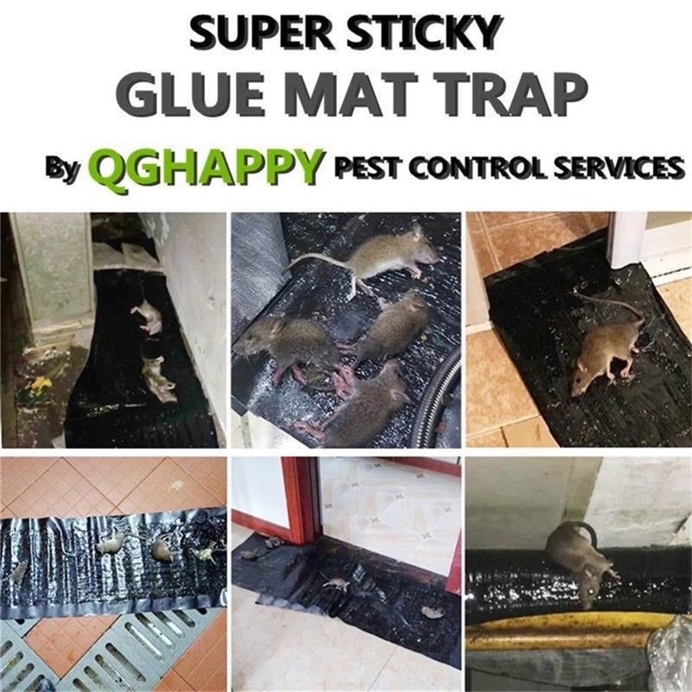 4 Packs Extra Large Pu Leather Mouse Glue Traps Strong Adhesive Snakes Traps Rats Glue Traps Mats Peanut Butter Scented For Pest Insect Mice Rats Rodents 4 Amazon Ca Patio Lawn Garden