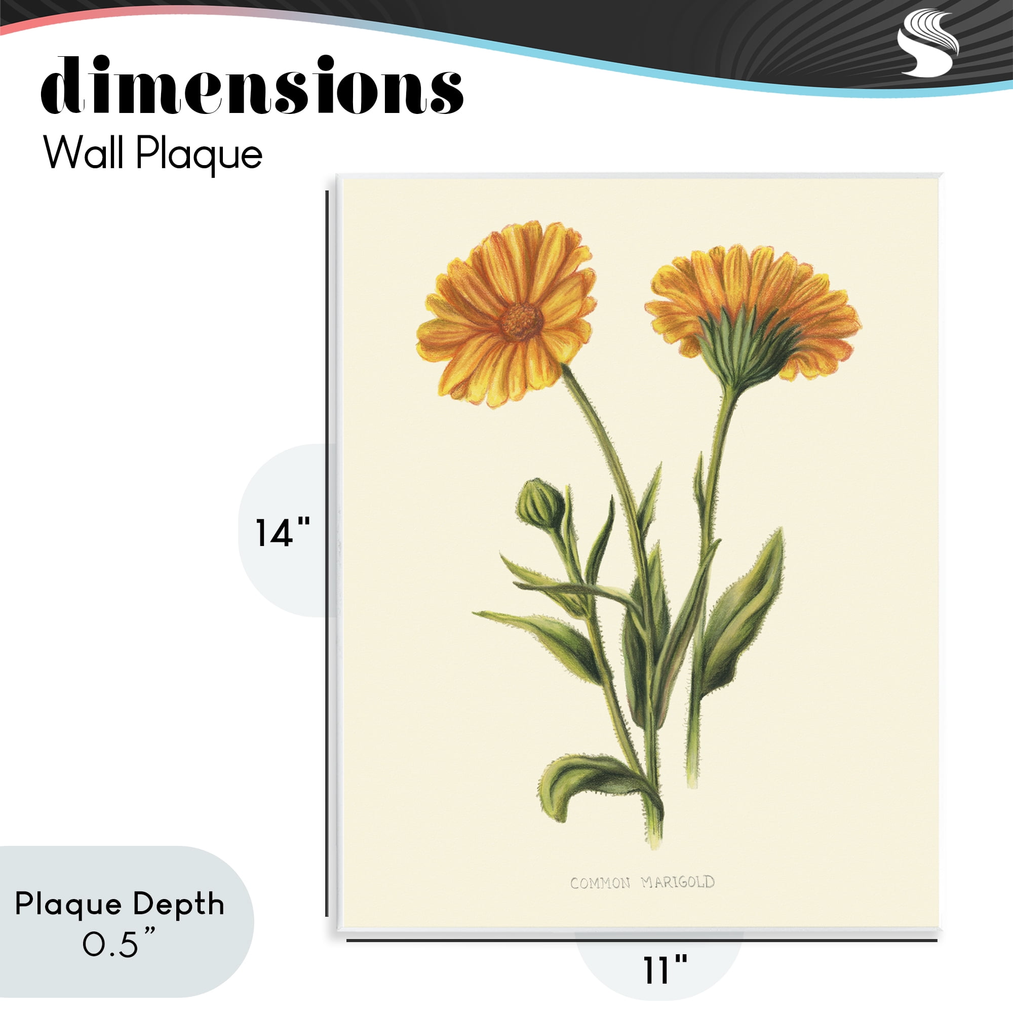Stupell Industries Twin Marigold Blooms Wall Plaque Art, design by Connie Resch