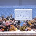 thumbnail image 1 of TABLZONE 2Ud Red Para Hidratar Peces Con Ventosas Incluidas Para Acuario Fácil De Usar, 1 of 8