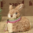 thumbnail image 4 of BELUPAI Grass Rabbit Animal Crafts Straw Bunny Gifts For Children Ornament Easter Trellises Straw Bunny Peter Rabbit Decor, 4 of 22