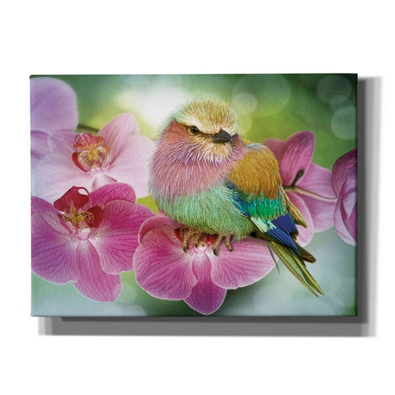 Epic Graffiti 'Pretty Boy' by Steve Hunziker, Canvas Wall Art, 54"x40"