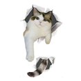 thumbnail image 1 of Pegatina para Inodoro de Gato de Dibujos Animados, Mural para Asiento de Inodoro, Pegatina Divertida para Tapa de Inodoro Impermeable, Pegatina Divert 19cmx32cm, 1 of 8