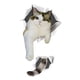 thumbnail image 1 of Pegatina para Inodoro de Gato de Dibujos Animados, Mural para Asiento de Inodoro, Pegatina Divertida para Tapa de Inodoro Impermeable, Pegatina Divert 19cmx32cm, 1 of 8
