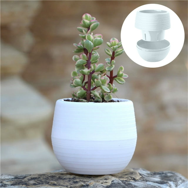 WREESH Mini Pots de Fleurs en Pierre pour Plantes Succulentes Petits Pots de Fleurs Pots Arc-en-Ciel