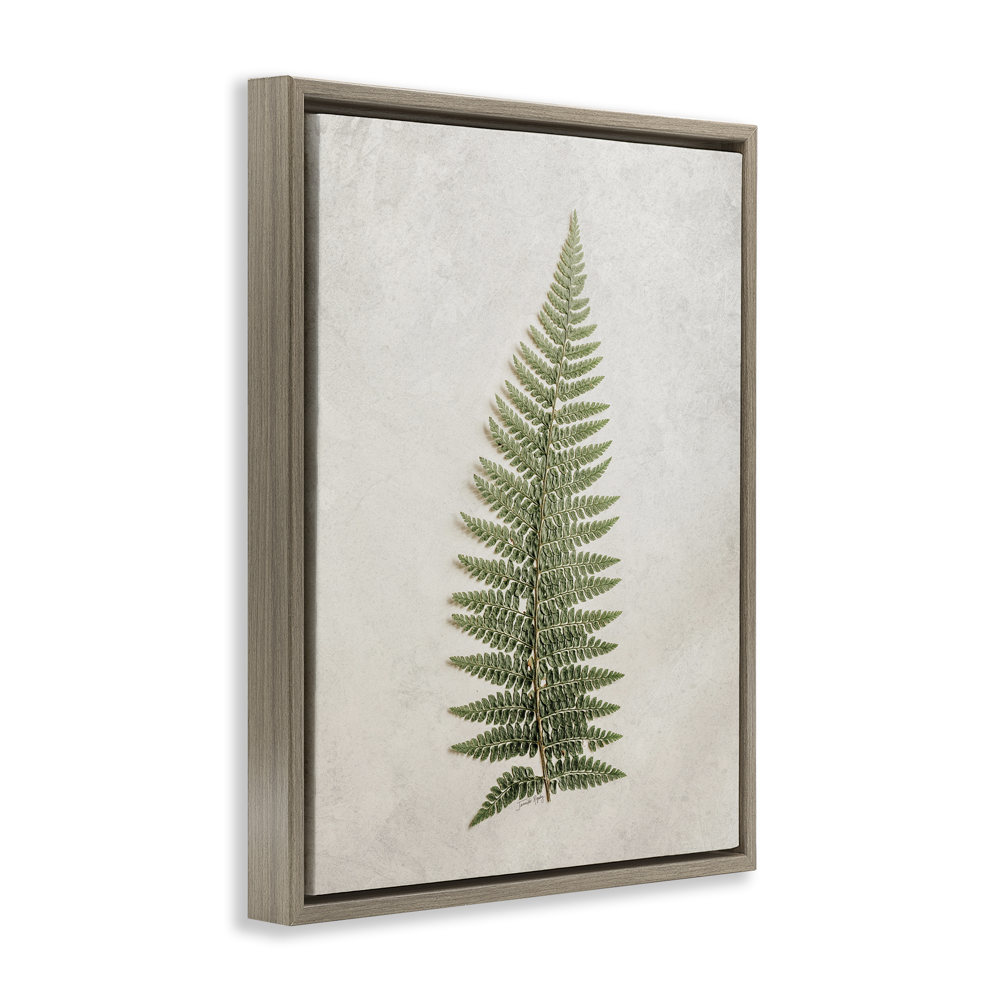 Stupell Industries Detailed Fern Frond Botanical & Floral Painting Brown Floater Framed Art Print Wall Art, 17 x 21
