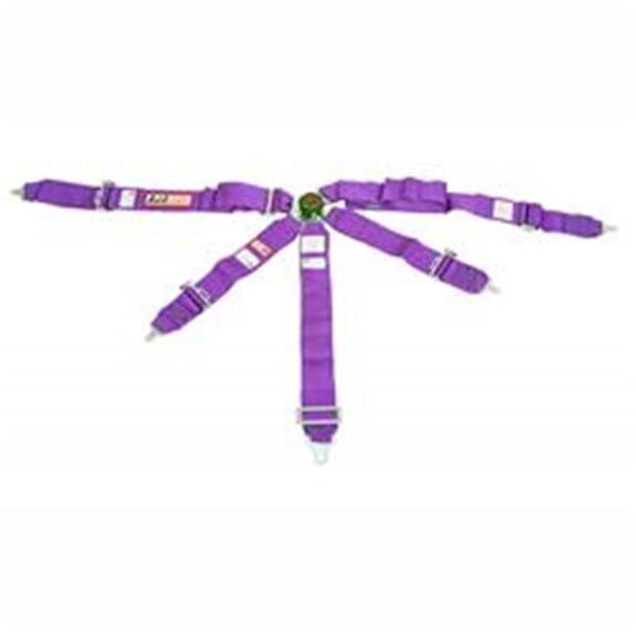 RJS Racing Equipment 1038408 Classic Series 7-Point SFI 16.1 Camlock Harness, Purple