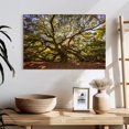 thumbnail image 3 of Elephant Stock Gnarled Angel Oak Wall Art - Horizontal Canvas Wall Art - Living Room Wall Decor - Floral And Botanical Canvas - Orange And Green Decor - 24" x 16", 3 of 8