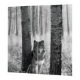 thumbnail image 4 of DOLITY Rideaux Occultants pour Animaux 2 Panneaux pour Tringle/piste - Loup Gris Loup, 4 of 7
