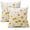 Daisy Flower, variant on Spring Summer Throw Pillow Covers 18X18 Inches Set of 2 Yellow Flowers Coreopsis Bee Decorative Pillow Cases Bees Floral Pillow Cover Farmhouse Home Decor for Outdoor Room Couch Patio Porch