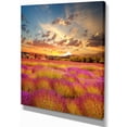 thumbnail image 2 of Majestic Lavender Field At Sunset - Floral Canvas Art Print, 2 of 3