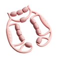thumbnail image 3 of Rodillo de masaje de piernas Masaje de tejido profundo Accesorios multifunción Ligero 12 Rosa, 3 of 8