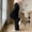 Black, variant on Women's Summer Fashion Solid Ice Silk Wide Leg Slim Elastic High Waist Draped Loose Straight Leg Pants S